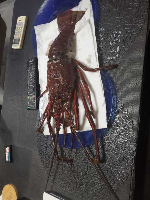 画像282